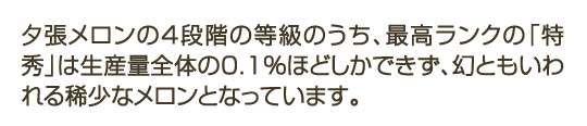 産地直送夕張メロン Ja夕張農協